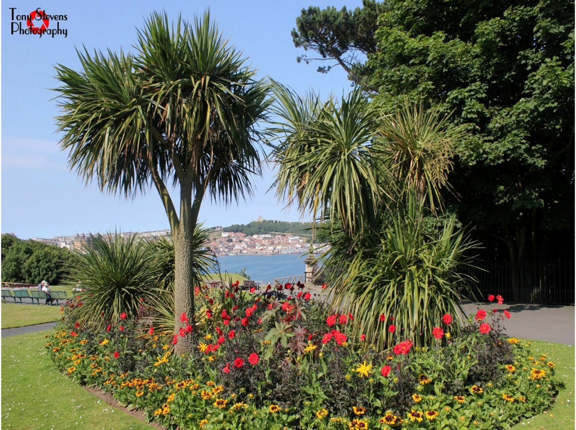 Esplanade Gardens B&B Scarborough Extérieur photo
